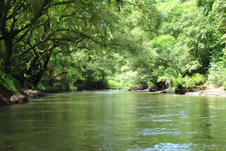 Safari Float photo 2